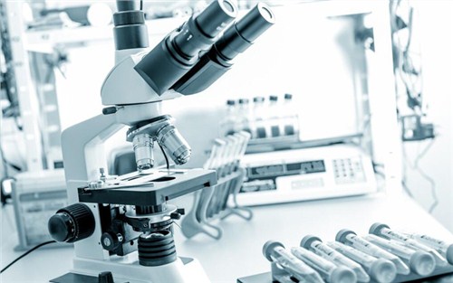 宜昌非标自动化设备哪家强,自动化设备