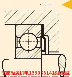 轴承防尘圈尼罗斯NILOS-RINGE 7200JVH