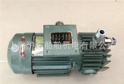 苏州优质CYBW气泵哪家好,CYBW气泵