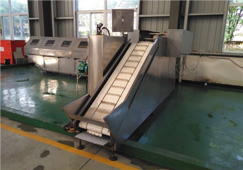 云南流水线去鱼鳞机械价格,流水线去鱼鳞机械