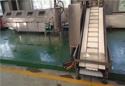 云南自动流水线去内脏机械制造厂家,流水线去内脏机械