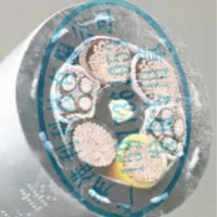 TROMMELFLEX PUR-HF-J电缆